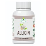 Allicin Garlic Capsules – Natural Heart Health, Cholesterol Support & Immunity Supplement | Herbal & Odorless Capsules