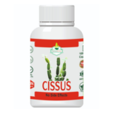Cissus Quadrangularis Capsules – Bone Healing, Joint Support & Ligament Care Supplement | Hadjod Extract Herbal Capsules
